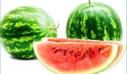 胃炎可以吃树瓜吗,营养与健康的双重选择