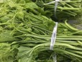 胡子瓜怎么吃呢,胡子瓜的多样食用方法揭秘