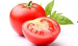 吃西红柿的瓜,探寻吃西红柿的瓜的奇妙之旅