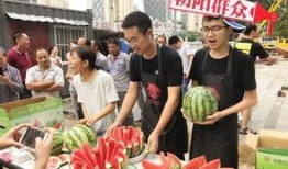 北京朝阳吃瓜网,吃瓜群众的热门话题大盘点