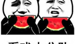 类似吃瓜表情包,揭秘那些逗趣的吃瓜表情包
