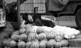 辉县吃瓜事件经过,一场网络舆论的风波与反思