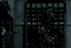 纹身妹妹吃瓜,揭秘娱乐圈幕后真相