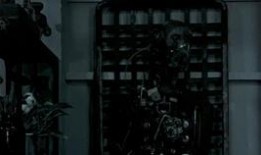 纹身妹妹吃瓜,揭秘娱乐圈幕后真相