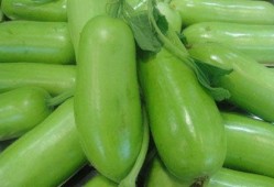 蒲瓜适合春季吃吗,蒲瓜的食疗佳品