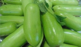 蒲瓜适合春季吃吗,蒲瓜的食疗佳品