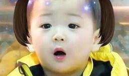 温宁吃瓜表情,揭秘娱乐圈的“瓜田”趣事