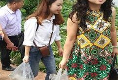 长沙洛丽塔吃瓜事件,网络热议背后的真相与反思