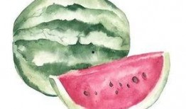 吃瓜为师,吃瓜群众视角下的师生关系