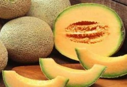 哈密瓜孩子吃太多,孩子过量食用背后的健康考量