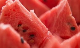 吃瓜蛋白,探索新型生物材料的神奇力量