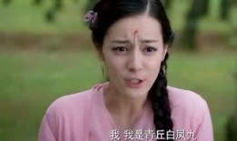 快乐的吃瓜人小说,揭秘娱乐圈背后的欢乐与泪痕