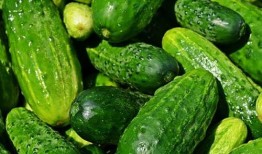 瓜菜能隔天吃,营养与健康的双重保障