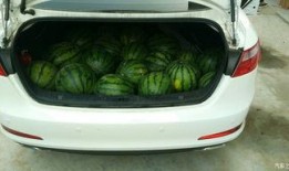 奔驰门吃瓜,一场吃瓜群众的狂欢与反思