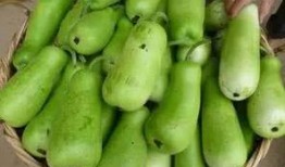葫芦瓜可以吃吗怎么吃,葫芦瓜的食用方法与美味佳肴