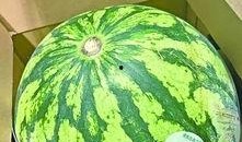 武汉吃瓜的方法,解锁夏日消暑新姿势