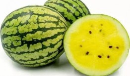 东宁瓜怎么吃,解锁美味新体验