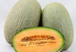 吃哈密瓜可以吃胃药吗,食用哈密瓜时是否需要胃药？