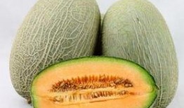 吃哈密瓜可以吃胃药吗,食用哈密瓜时是否需要胃药？