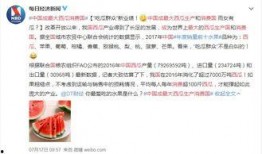 合格的吃瓜少女,揭秘合格吃瓜少女的必备素养与趣味生活