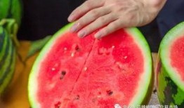 上海学院吃瓜,吃瓜群众的热议焦点