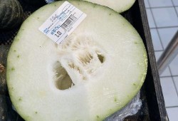 蓉城疫情吃瓜,吃瓜群众视角下的防疫风云