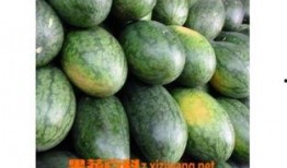 新疆美人吃瓜,尽享夏日清凉盛宴