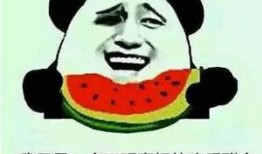 吃瓜的搞怪名字,揭秘那些搞笑的“吃瓜群众”背后的故事