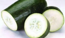 51吃瓜吃最热的瓜