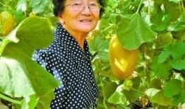 吃瓜祖母,揭秘娱乐圈背后的温馨故事