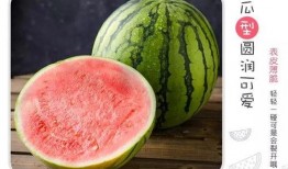 吃瓜网地址分享