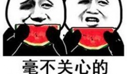 什么瓜可吃搞笑,盘点那些让人捧腹大笑的“瓜”