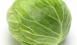 包菜吃瓜,一场味蕾的盛宴