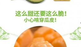 吃瓜one号,吃瓜one号背后的故事与影响力