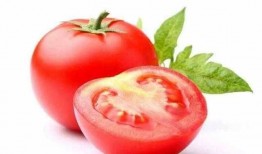 吃瓜系统小说番茄小说