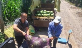 金昌大爷吃瓜事件,一场引发全民热议的网络狂欢