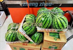 郑州摩友吃瓜,一场“吃瓜”引发的骑行圈热议